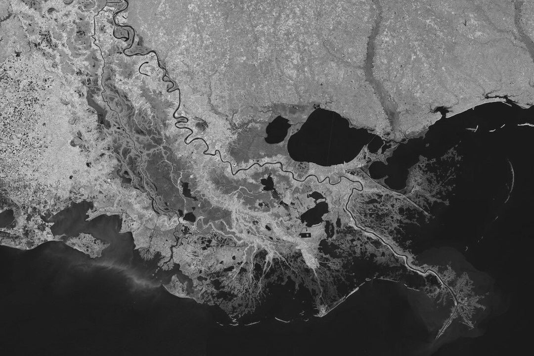 Mississippi River Delta Louisiana Aerial Satellite Photo Poster Art
