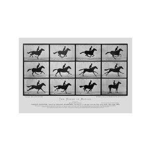 Op de afbeelding: Een zwart-wit fotografische afdruk getiteld "The Horse in Motion" door Eadweard Muybridge. De afdruk toont een reeks van twaalf frames die een paard en ruiter in beweging afbeelden. Het paard wordt galopperend getoond, met de ruiter in zittende positie.