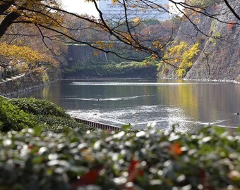 Osaka Castle Park Japan Japanese Garden Park Art Photo Poster Print