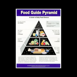 Retro 1990s Food Guide Pyramid Daily Food Choice Diagram Chart Poster Print