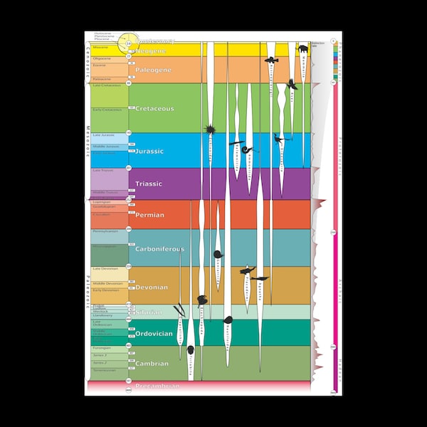 Geologic Timescale Chart Diagram Graphic Poster Print Geology Science 18 x 24 in