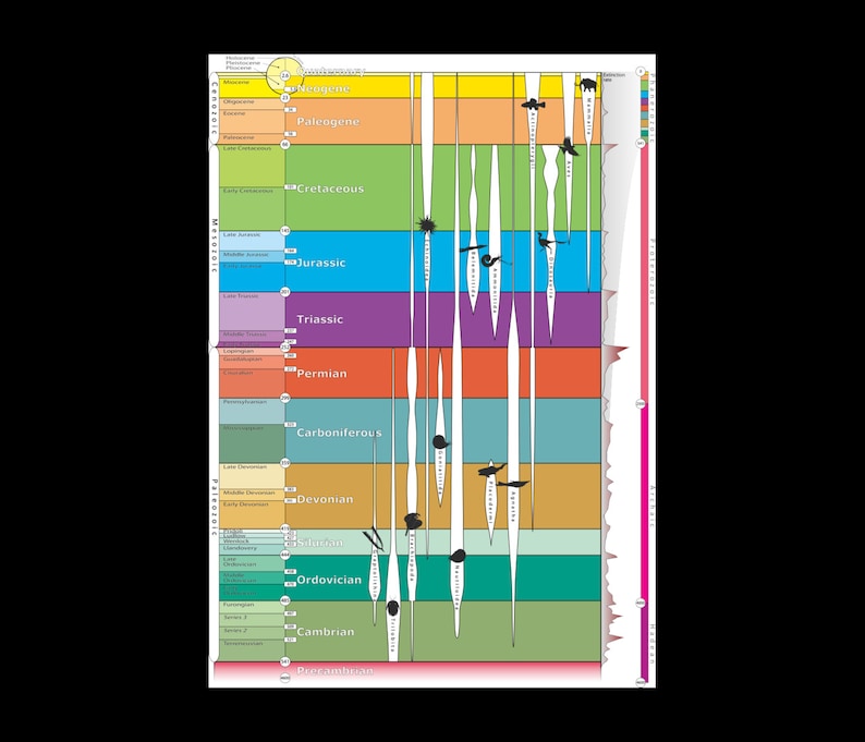 Geologic Timescale Chart Diagram Graphic Poster Print Geology Etsy Canada
