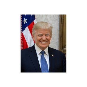 President Donald Trump Official White House Portrait Photo Poster Art Print