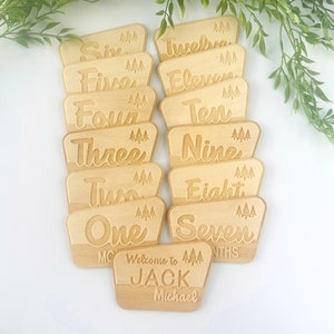 National Park Baby Milestone Cards, Mensile Baby Photo Prop, Baby Shower Gift