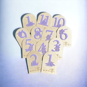 Cartes florales de jalon de bébé, cadeau de bébé fille, jalon mensuel de bébé