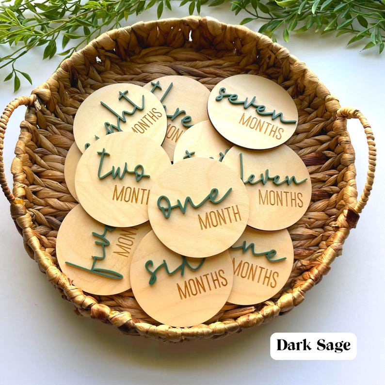 Milestone Discs, Baby Milestone Cards, Baby Shower Gift, Newborn Photo Prop, Wooden Milestone Cards image 13