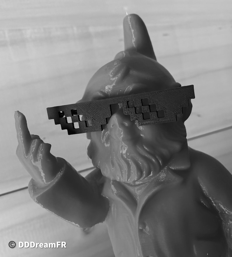 Nain de jardin vulgaire, Rude Gnome, 3D Printed Lunettes THUG