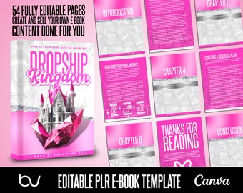 PLR Dropshipping E Book, E Book With Resale Rights, Content Done for You, Drop Shipping Ebook, E-Book Canva Template, Private Liscensing