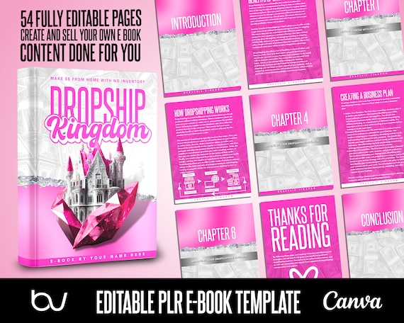 PLR Dropshipping E Book, E Book With Resale Rights, Content Done for You, Drop Shipping Ebook, E-Book Canva Template, Private Liscensing