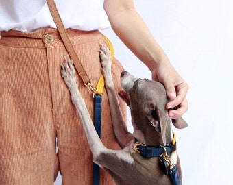 Hands-free soft leather dog leash | Adjustable length Crossbody leash | Waist leash | Thin leather leash for small to medium dogs | Musée