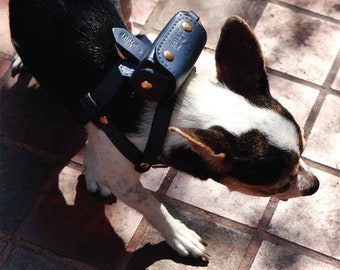 Pet Backpack Harness, Soft Leather Classic Harness with Poop Bag Holder Backpack for Dog and Cat, Stylish Dog and Cat backpack harness