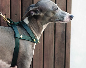 Soft Leather Pet Harness | Adjustable & Comfortable harness | Stylish harness for small to medium breed | Dog harness, Cat harness | Classic