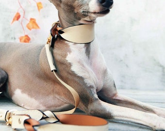 Twist Wide Soft Leather Pet Collar and Leash set with Name, Dog collar, Italian greyhound collar, Whippet collar, Sighthound collar