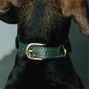Personalized soft leather dog shirt collar