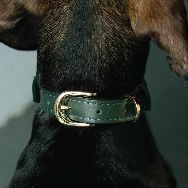 Personalized soft leather dog shirt collar