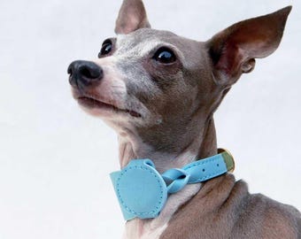May include: A light blue leather dog collar with a braided design and a round, blue leather tag. The collar is worn by a grey and white Italian Greyhound.