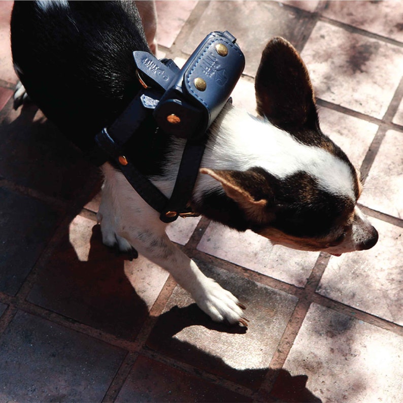 Classic Soft Genuine Leather Pet Harness, Adjustable Pet Harness, Dog Harness imagen 8