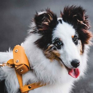 Classic Soft Genuine Leather Pet Harness, Adjustable Pet Harness, Dog Harness imagen 7