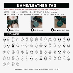 Pet graphic icon on collar