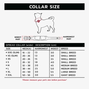 Hound collar size, Whippet collar size, Italian Greyhound collar size