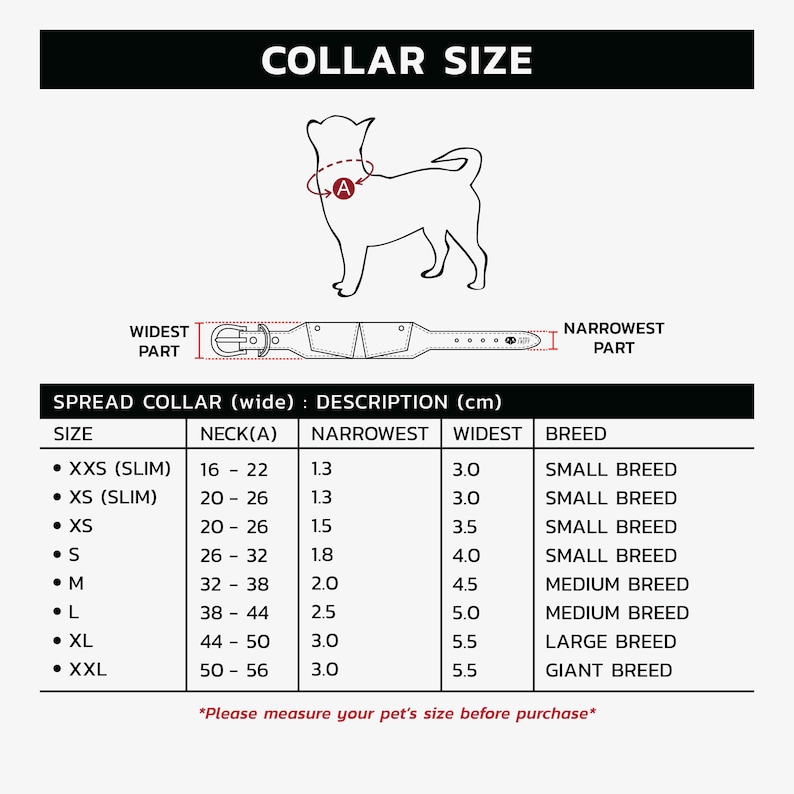 Hound collar size, Whippet collar size, Italian Greyhound collar size