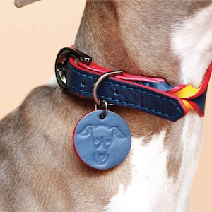 Navy blue soft leather wide dog collar name engraved with dog tag