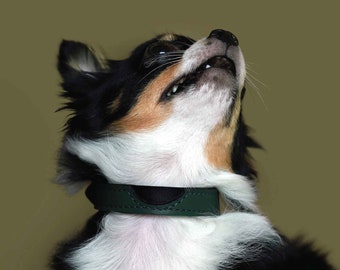 Scoop shirt Thin Soft Leather Pet Collar with Name, Dog collar, Cat collar