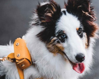 Dog Backpack Harness | Soft Leather | Classic Harness with Poop Bag Holder Backpack for Dogs and Cats | Pet Waste Bag Dispenser