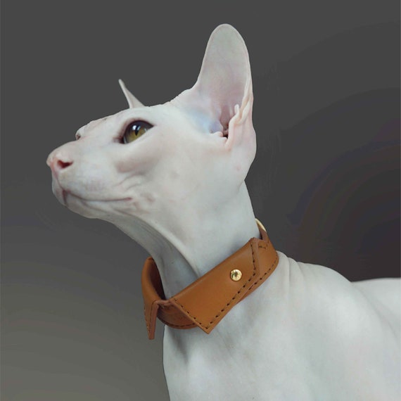 Soft leather cat shirt collar with name | Personalized lightweight leather shirt collar for Cats and Dogs | Custom cat collar | Spread Thin