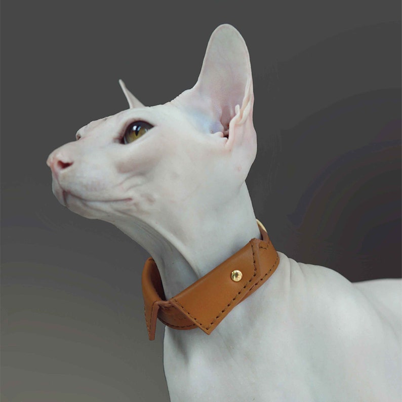 Personalized soft leather cat shirt collar with custom name. Sphynx cat collar