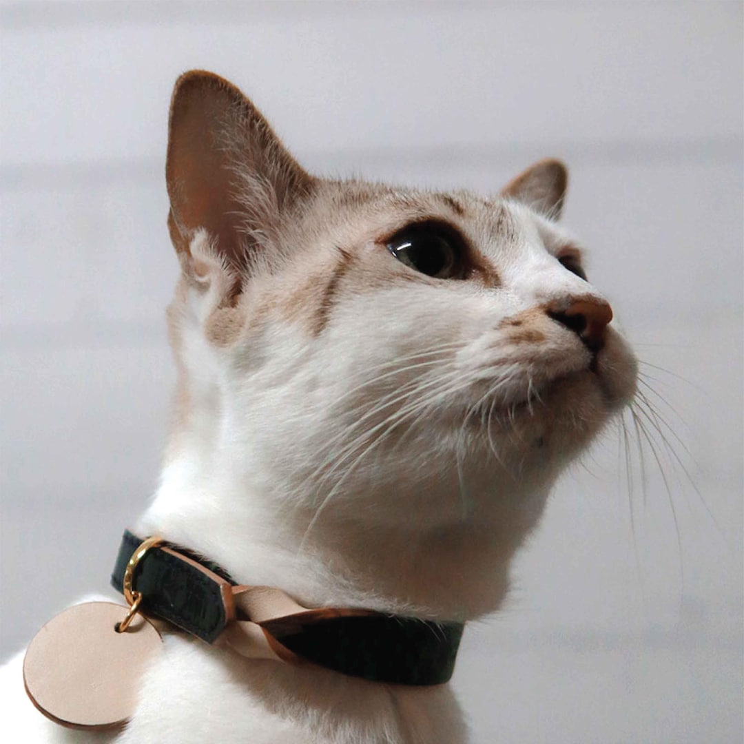 Soft Leather Cat Collar With Name | Personalized Cat Collar ...