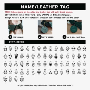 Pet graphic icon on collar