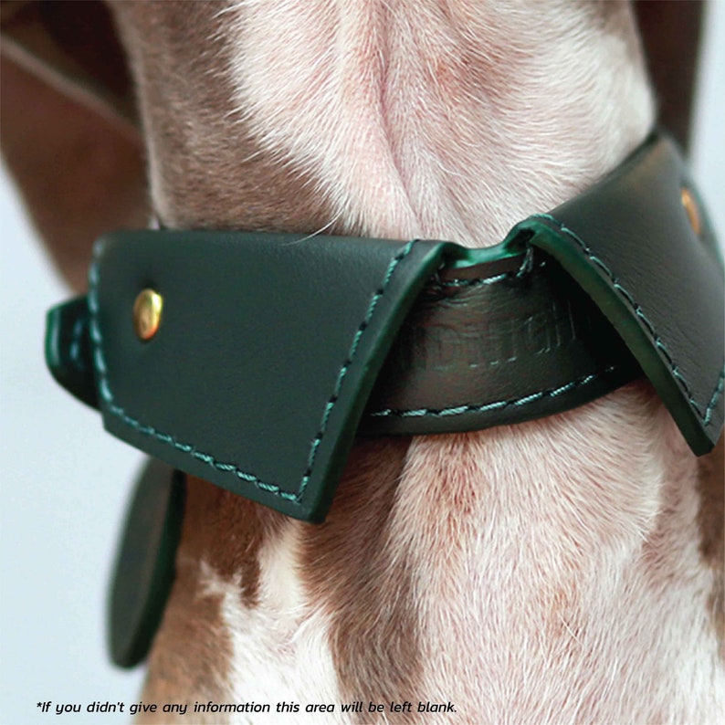 Personalized soft leather dog shirt collar with custom name.