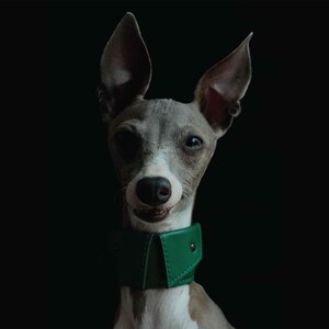 Navy green soft leather wide dog shirt collar, Italian greyhound collar, Whippet collar, Sighthound collar, Thick dog collar personalized