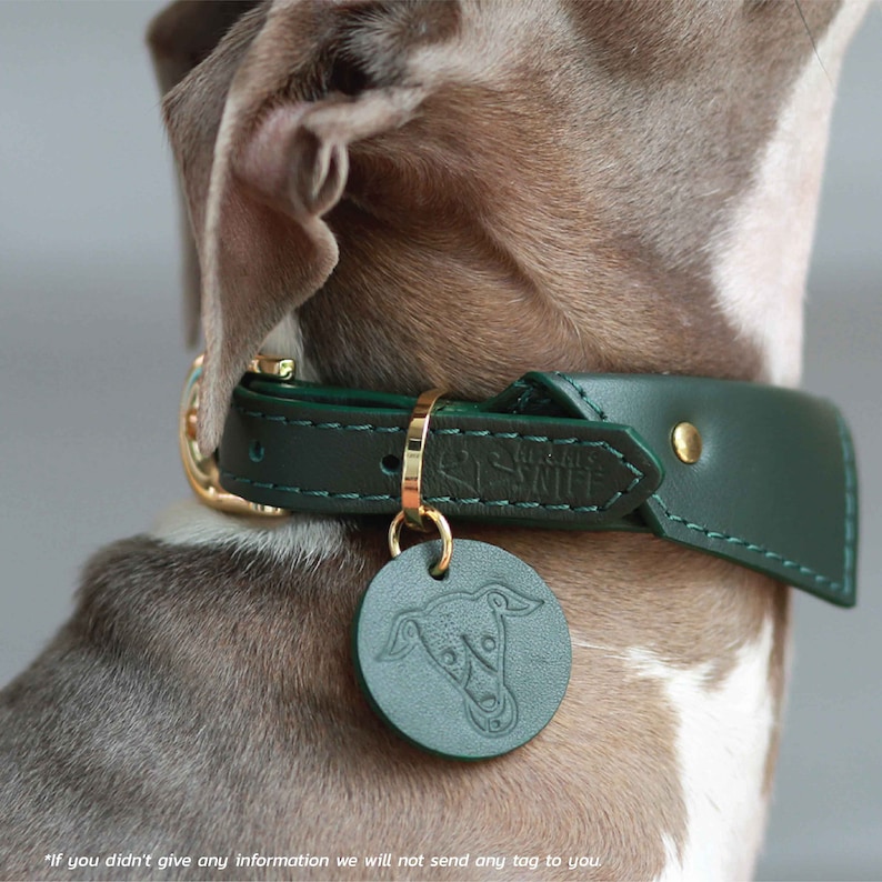 Personalized soft leather dog shirt collar with dog tag