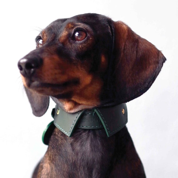 Dog Shirt Collar with Name | Lightweight Soft Leather Shirt Collar for Dogs and Cats | Personalized Spread Shirt Thin collar