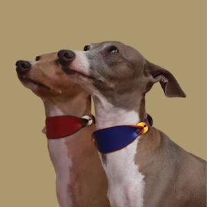 Fun colorful soft leather wide Italian greyhound collar. Whippet collar, Sighthound collar. Personalized Thick dog collar