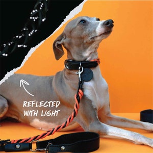 Reflective Pet Collar and Leash set with Name, Night-safe Soft Leather with Reflective Paracord Dog Collar and Dog Leash