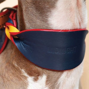 Navy blue soft leather wide dog collar name engraved