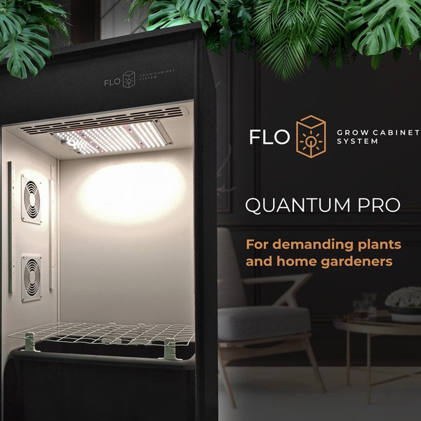 Growbox Quantum Pro NERO Schrank per la confezione di cannabis