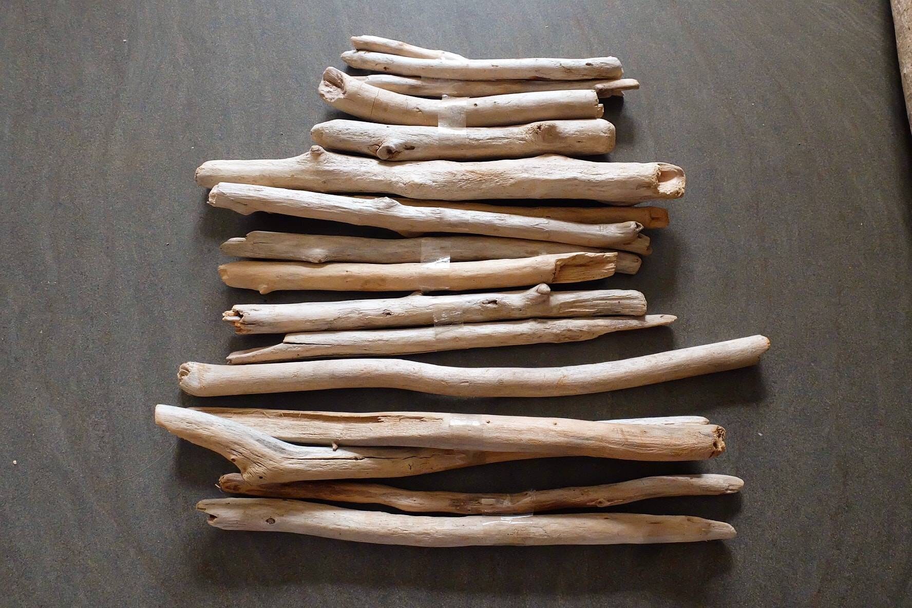 Bois Flotté de Provence, France Pour Réaliser Des Créations en Macramé ou Faire Décorations. Branche