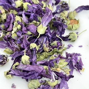 Dried Mallow, dried flowers for resin jewelry, hand pressed, real dried flowers