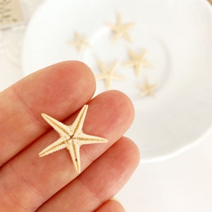 Puede incluir: Una colección de pequeñas estrellas de mar secas de varios tamaños. Las estrellas de mar son de color blanquecino con sutiles marcas marrones, dispuestas sobre una superficie blanca. Estas estrellas de mar naturales son ideales para manualidades o decoración costera.