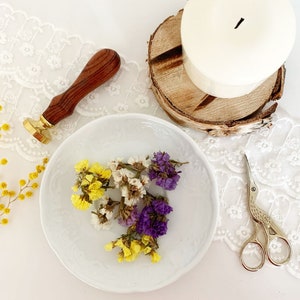 Lavanda marina pequeña, estática, flores secas para joyería de resina, prensado a mano, flores secas reales