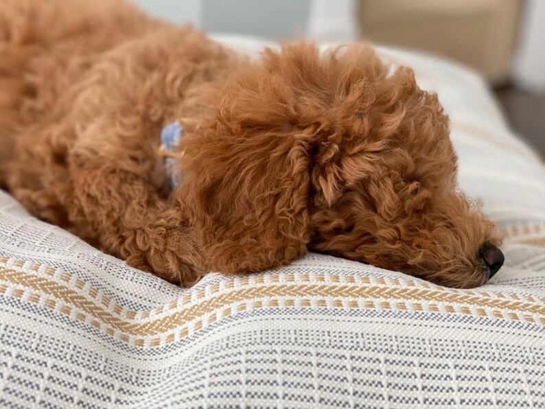 dog bed covers canada