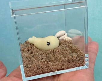 Glow in the Dark Whale Desk Decor: Fidget Toy, Pocket Pet