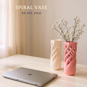 File STL del vaso a spirale: file per stampante 3D (download digitale)