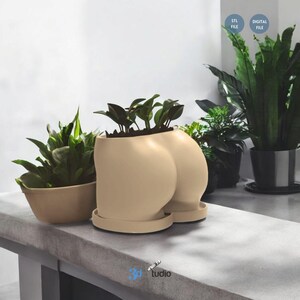 May include: A beige ceramic planter shaped like a pair of buttocks, holding green plants. The planter sits on a matching saucer. Another beige planter with green plants is to the left. The background includes other potted plants.