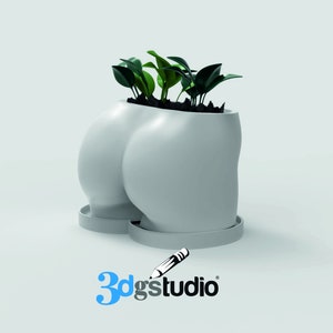 May include: A light gray planter shaped like a pair of buttocks, with a matching saucer. The planter holds several small green plants. The logo "3dgstudio" is in the bottom right corner.
