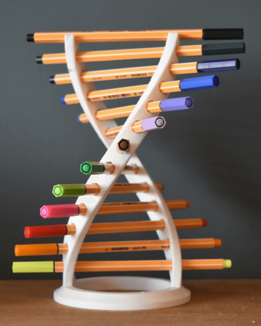 3D Stl File DNA Pen Holder Pen Holder Stl Files 3D Etsy UK